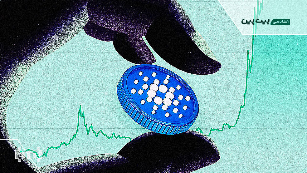 چه چیزی باعث افزایش قیمت کاردانو شده است؟