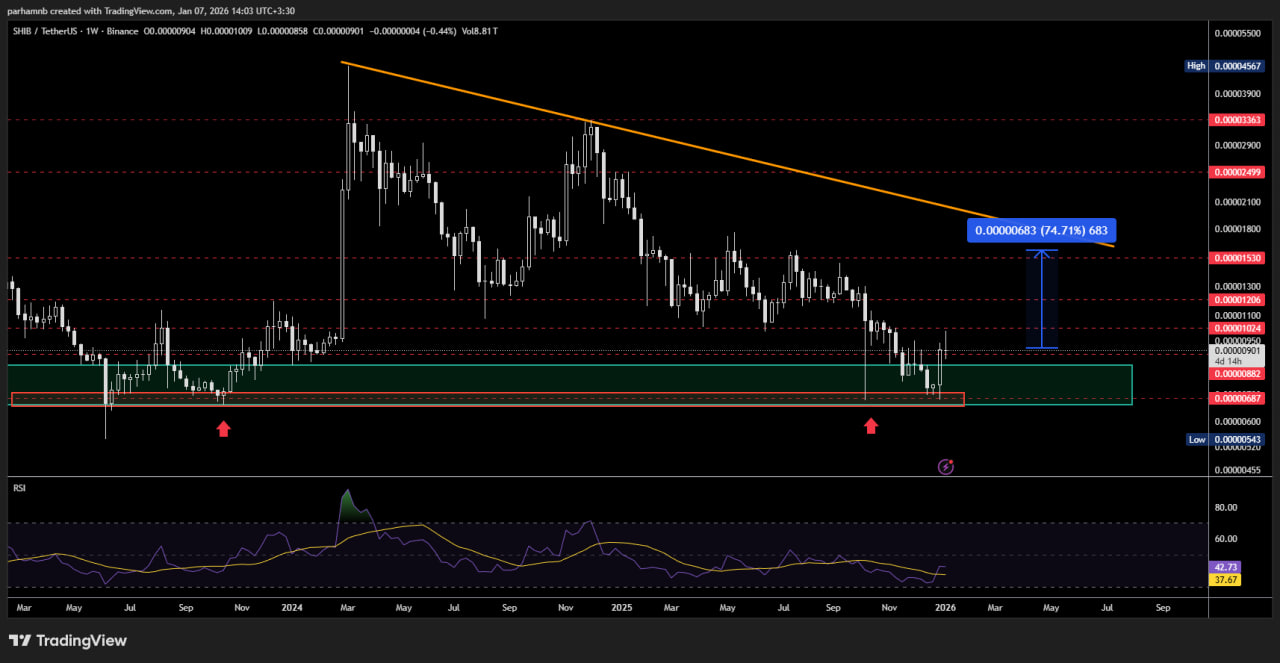 شیبا اینو (SHIB): خیزش نهنگها برای اهداف بلندپروازانه
