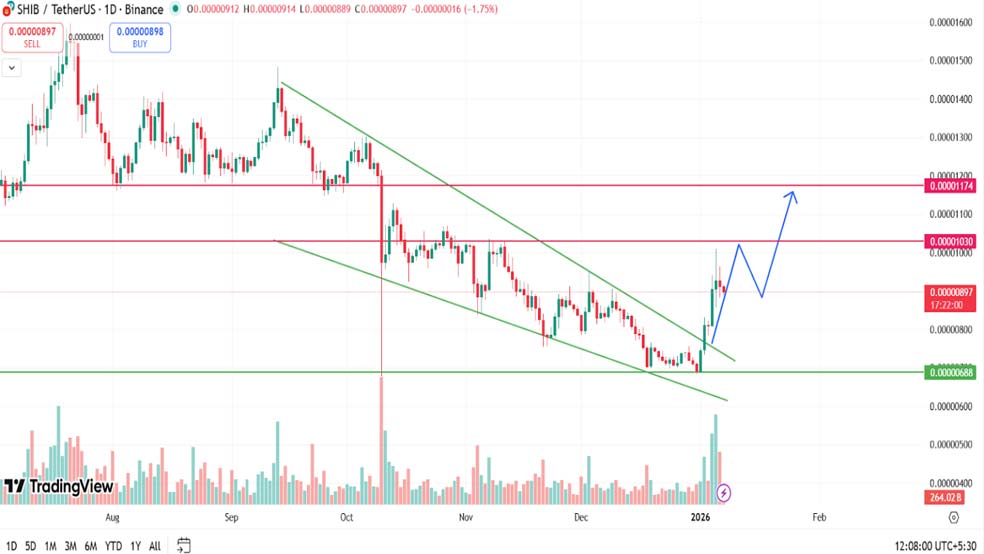 بررسی روند قیمت شیبا اینو