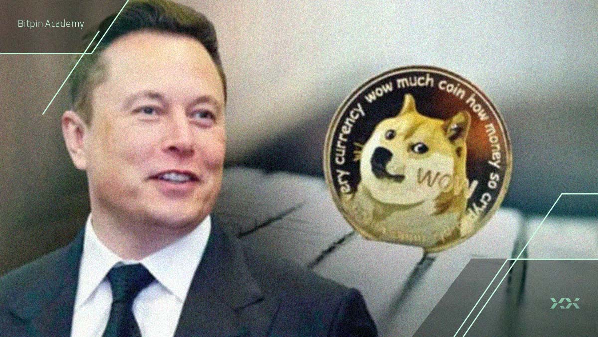 حمایت دوباره ایلان ماسک از دوج کوین! وقت خرید است؟