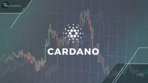 این رمزارز چگونه در بازار نزولی همچنان صعود می‌کند؟