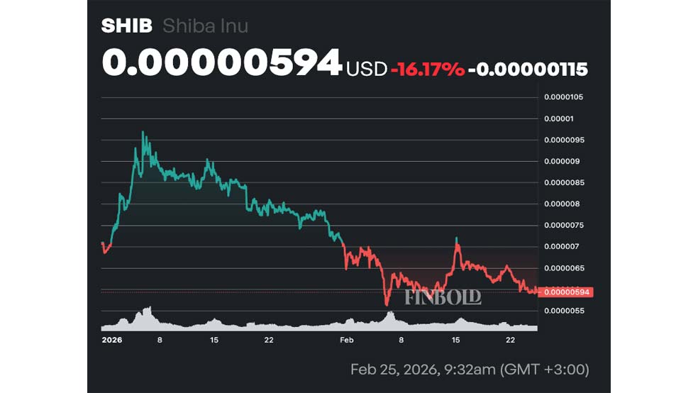 شیبا اینو و تداوم ضعف میم کوینها