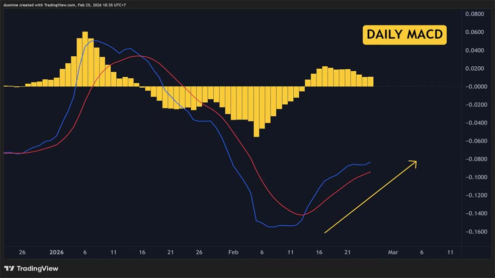 پیشبینی روند صعودی ریپل با شاخص مکدی