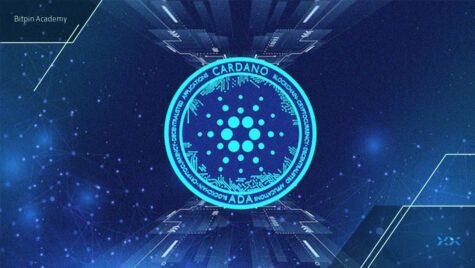 آیا کاردانو در تدارک یک جهش بزرگ قیمت است؟ بررسی تحولات آنچین کاردانو