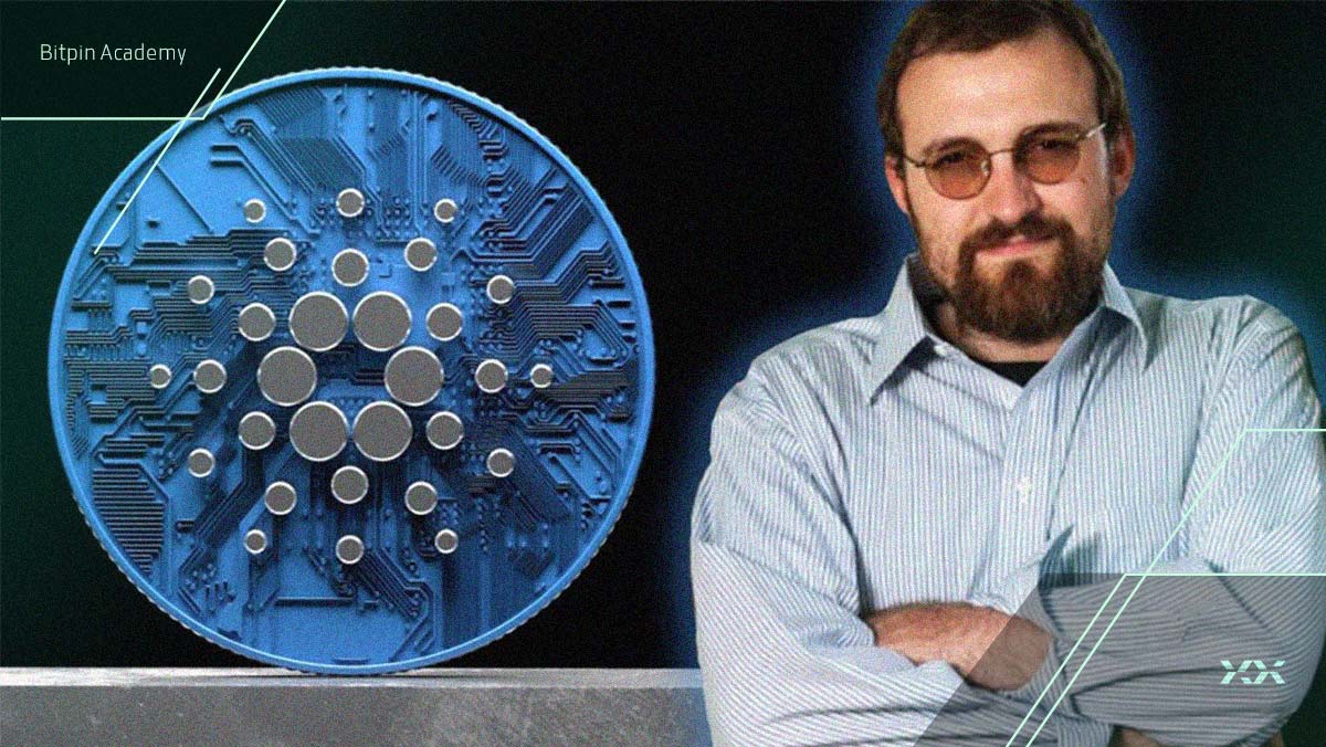 اظهارنظر جنجالی هاسکینسون: کاردانو بهتر از بیت کوین و اتریوم است!