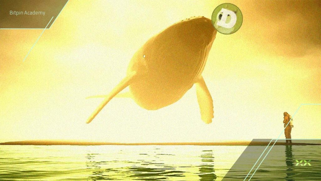 تریدرهای برتر بایننس در حال خرید دوج کوین هستند! حالا وقت خرید است؟