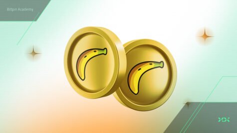 پیش‌بینی قیمت بنانا گان (BANANA) تا سال ۲۰۳۰ | آیا خرید بنانا معقول است؟