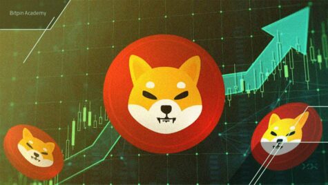 آیا حالا فرصت خوبی برای خرید شیبا است؟