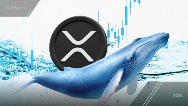 داده‌های بایننس: نهنگ‌ها درحال جارو کردن ریپل بازار هستند!