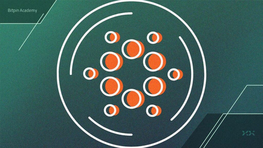 نهنگ‌های کاردانو به شدت شروع به خرید کرده‌اند!