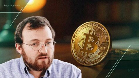 مدیرعامل کاردانو: بیت کوین ۳ راه دارد که یکی از آن‌ها فروپاشی است!